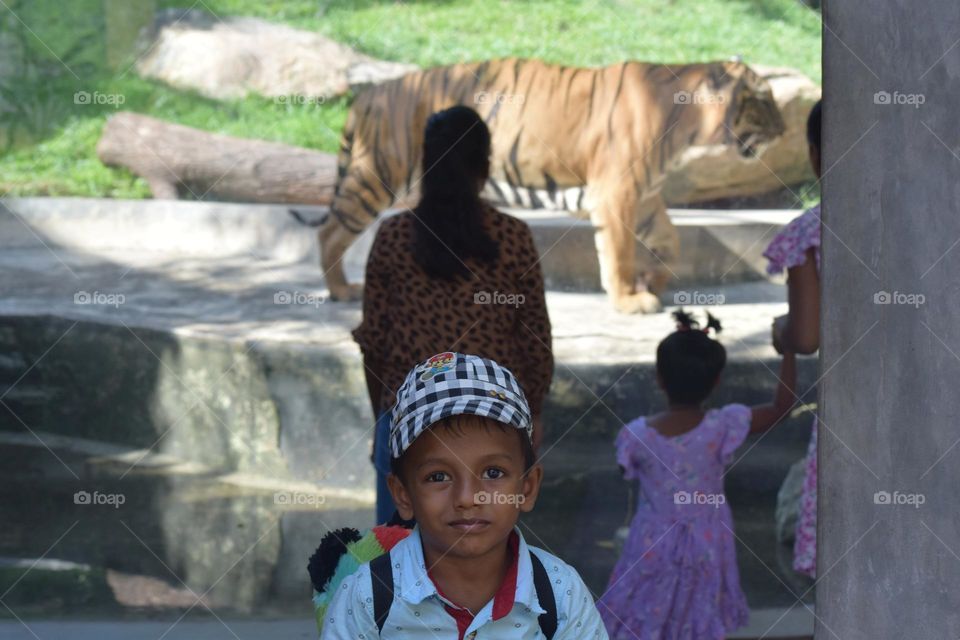 time for tiger show  - visitors at zoo
