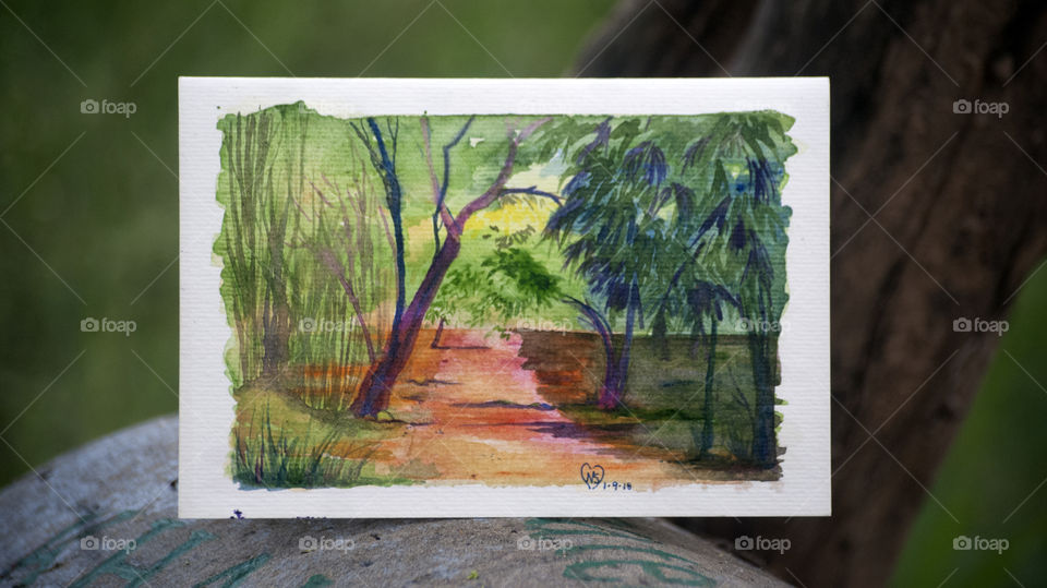 Trying to capture the beauty of nature, improving little by little.