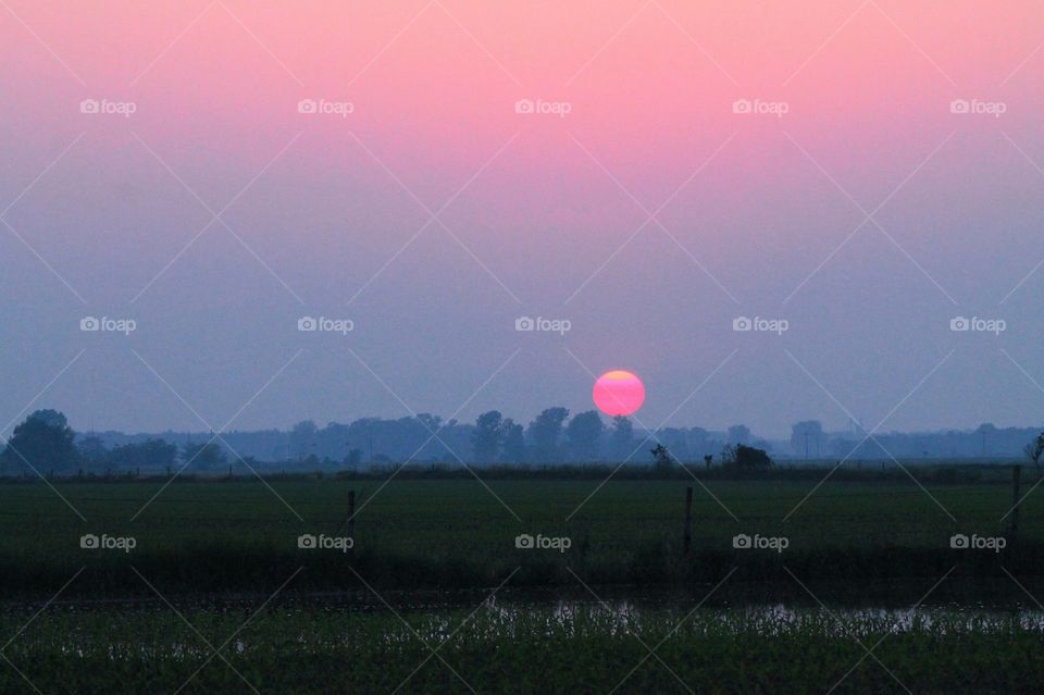 Bubble gum in the sky