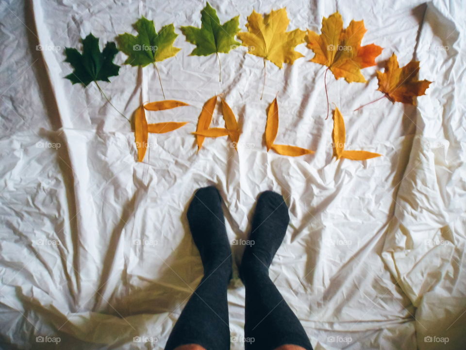 feet in socks and composition of autumn leaves on white