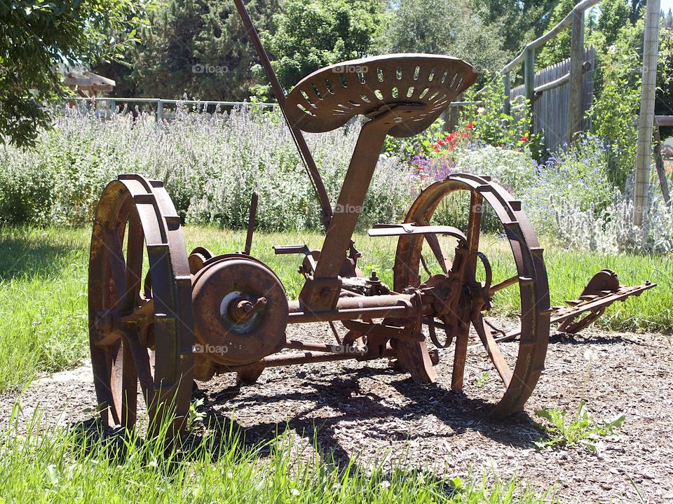 A rusted old field plow being used as an ornamental garden decoration in Central Oregon on a sunny summer day. 