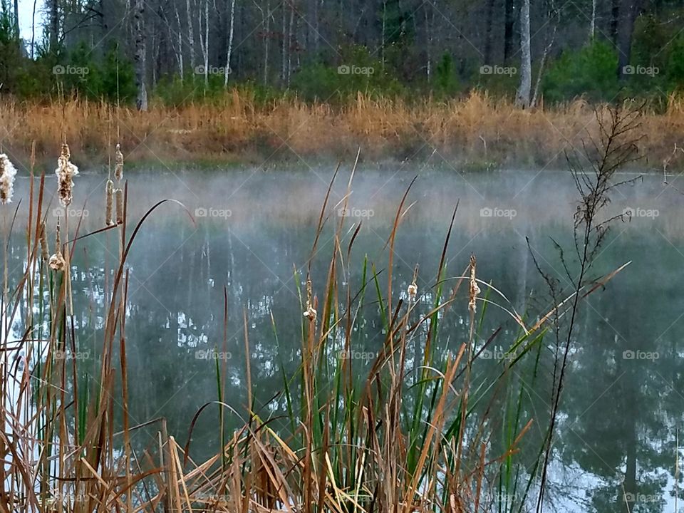 Foggy waters