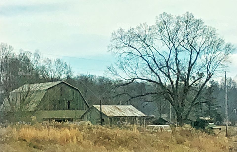 Rural barn and buildings