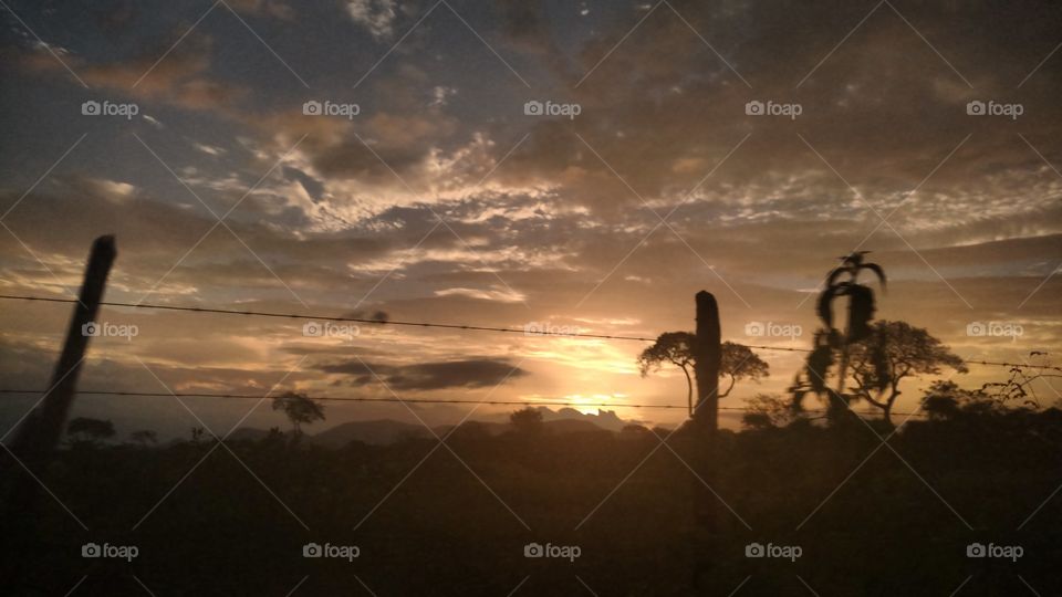 Sunset, Backlit, Silhouette, Dawn, Landscape