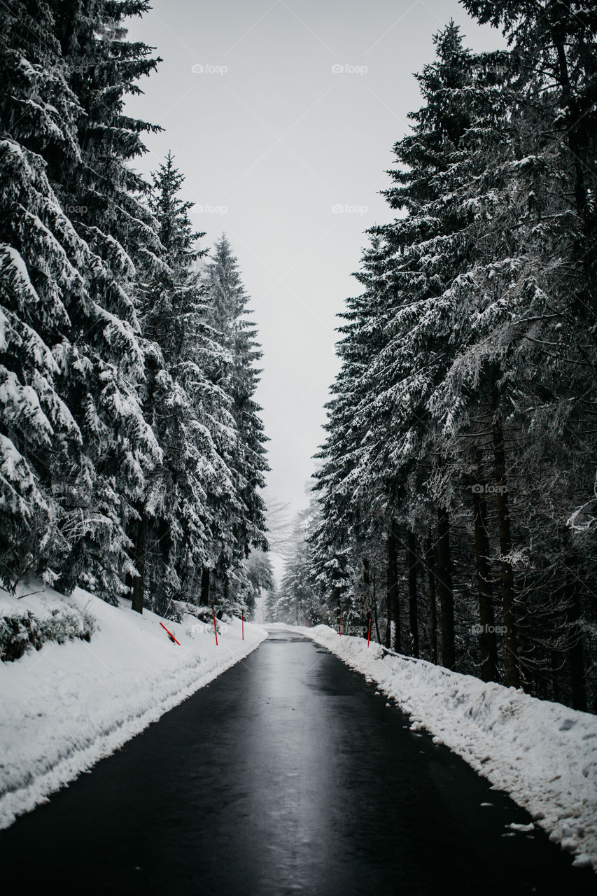 Walking into winter wonderland