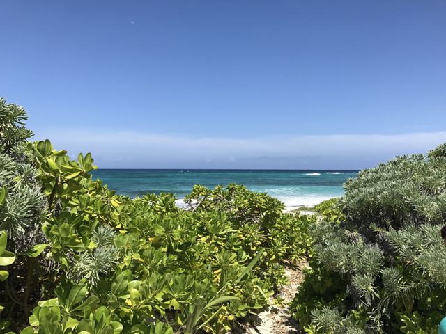 Hidden beach! 