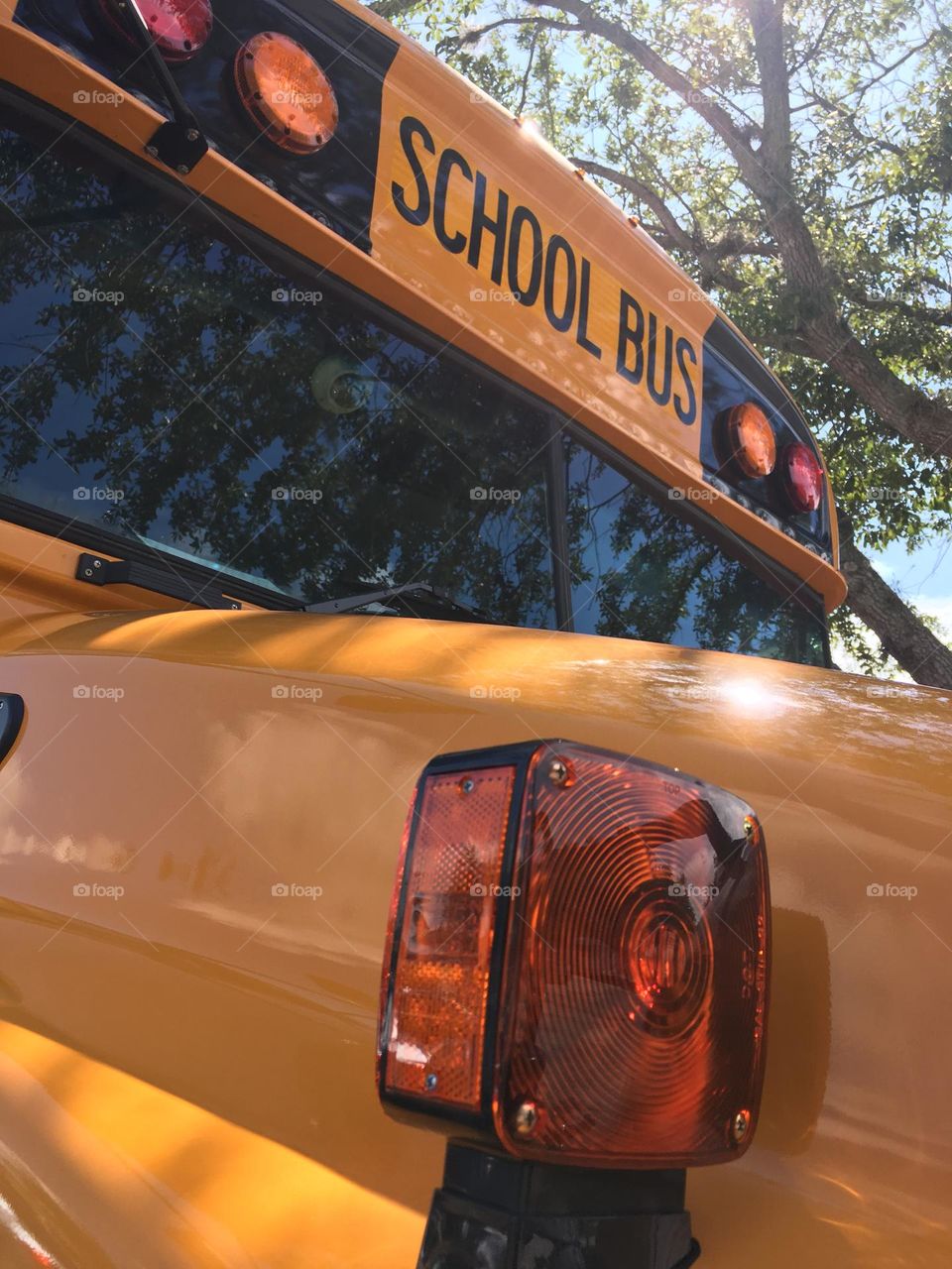 Public transportation yellow school bus 