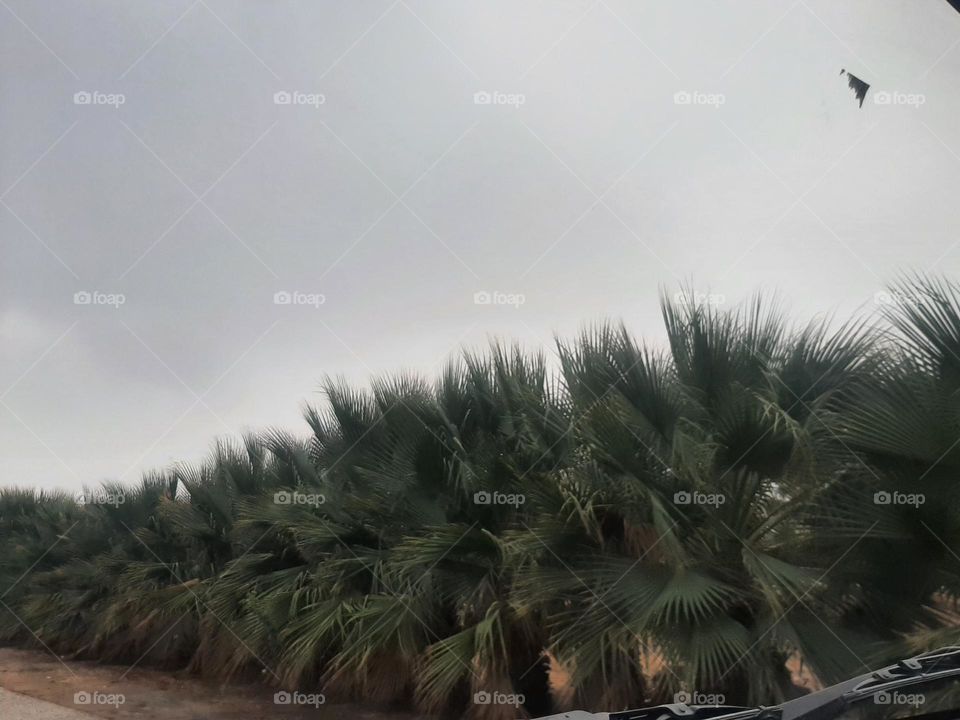 Please help me, I am very poor, I need your support and God is in need