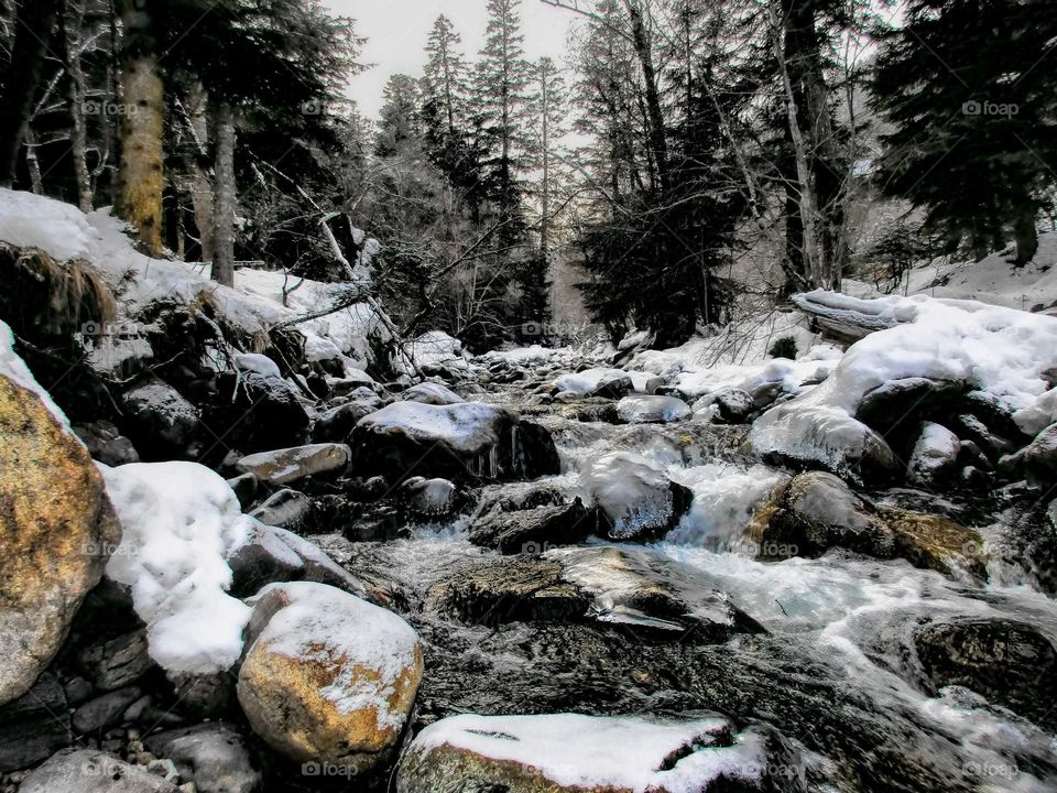 Loud river in winter