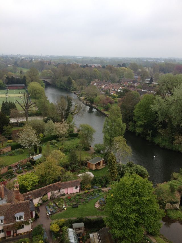 Beautiful view of river and trees 