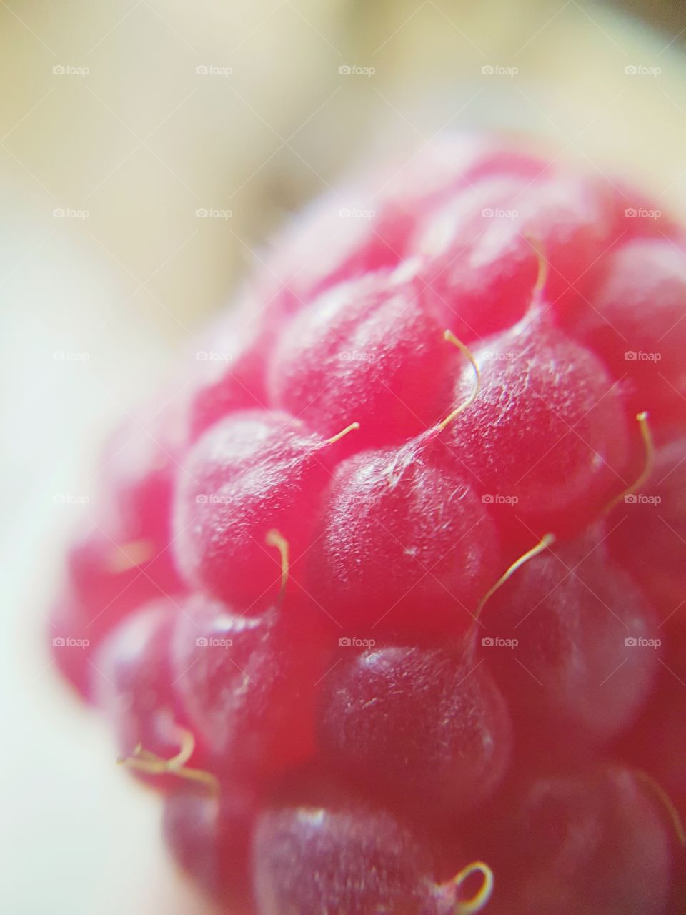 raspberry macro shot