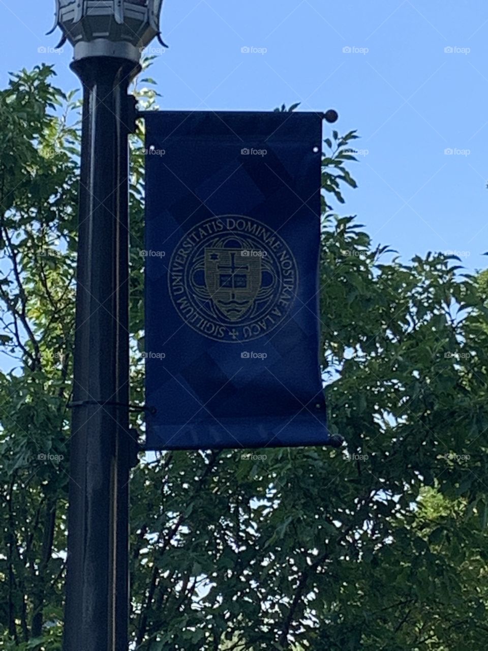 Notre Dame University 