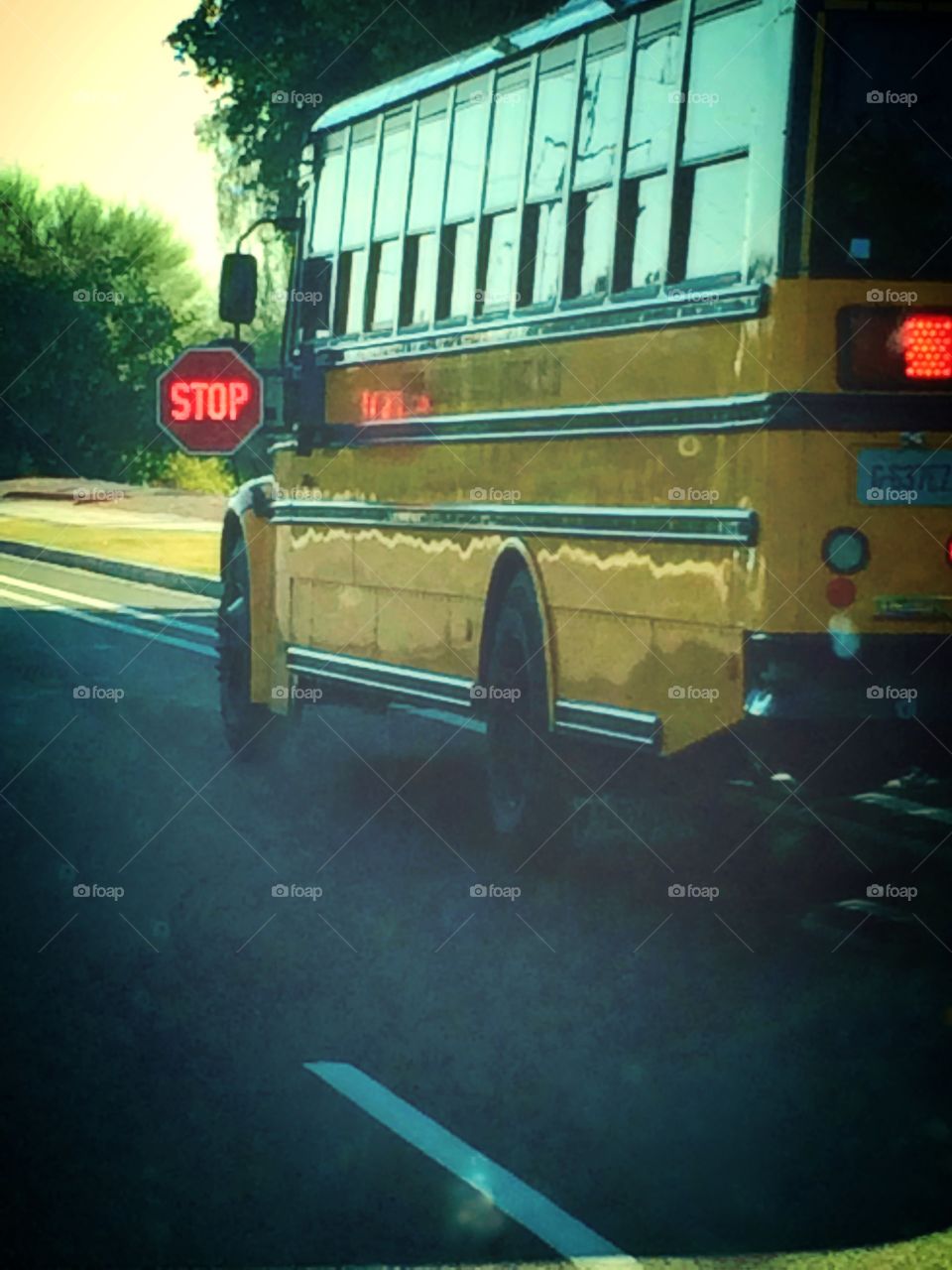 School Bus