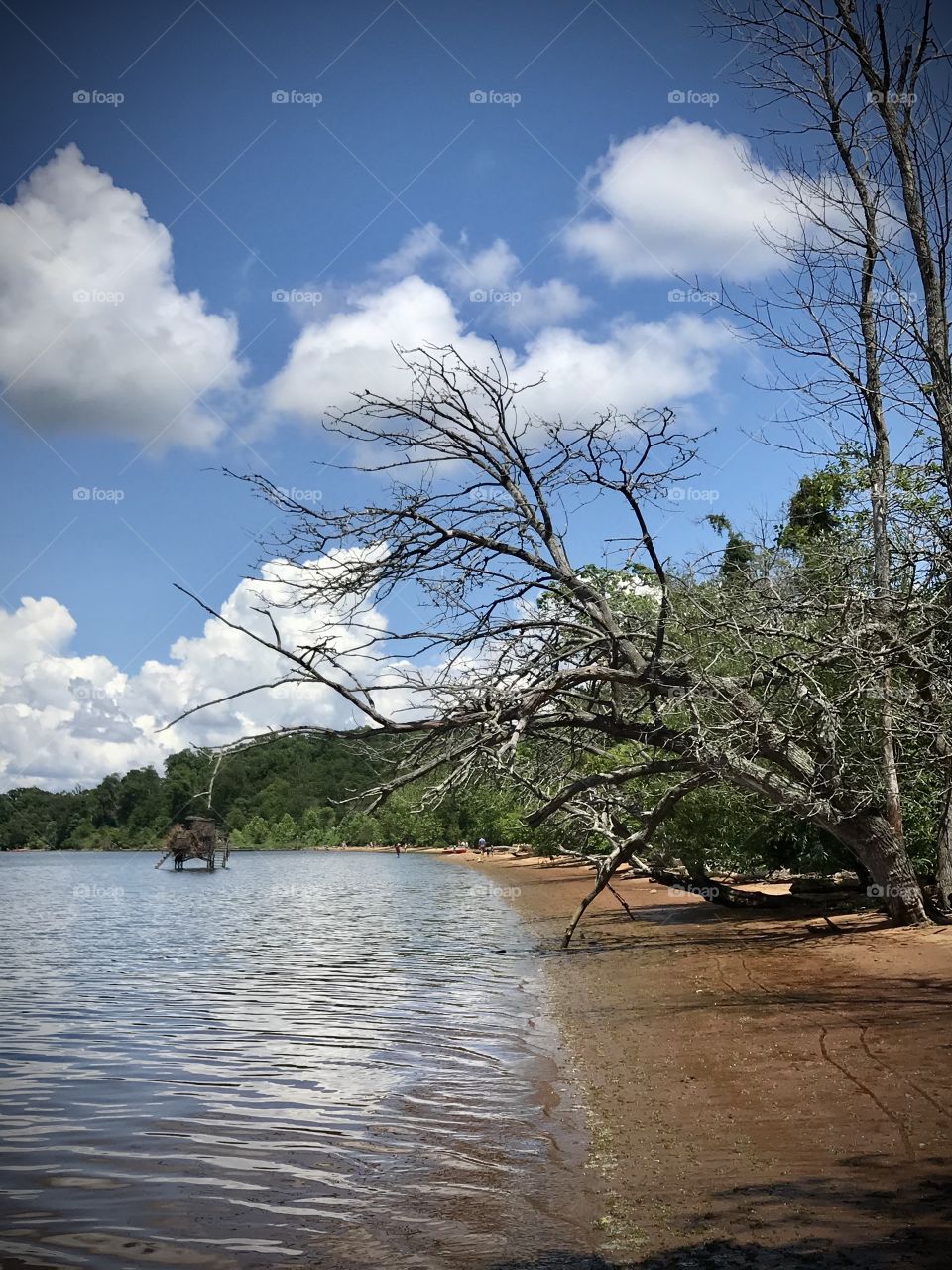 A little hut nestled in the water 
