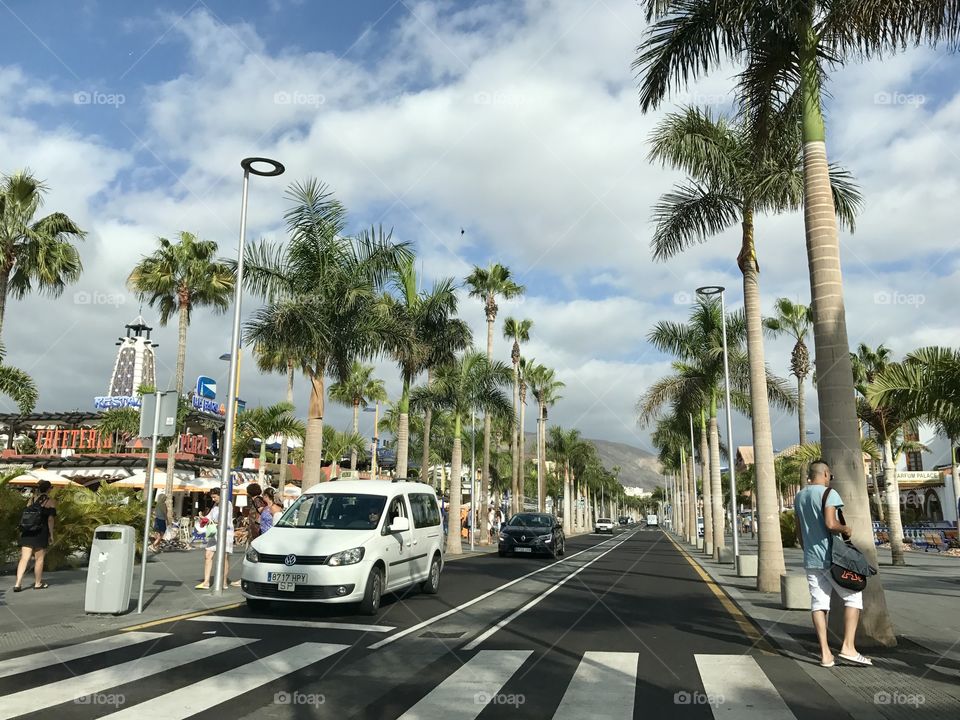 Discovering Tenerife 