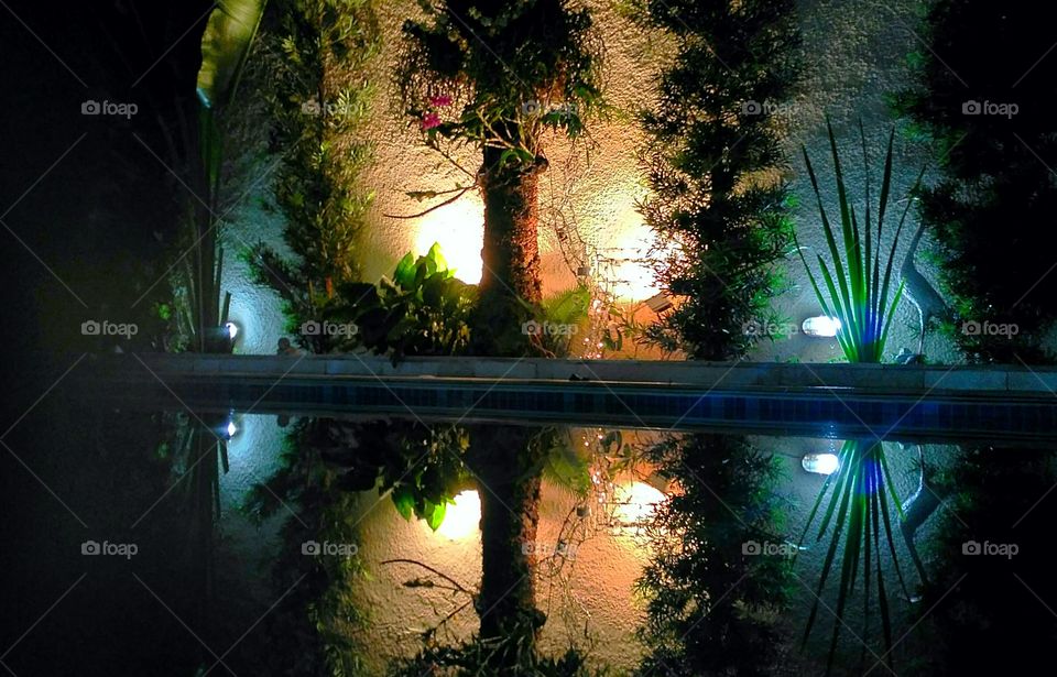 Tripa's Caribbeans Club