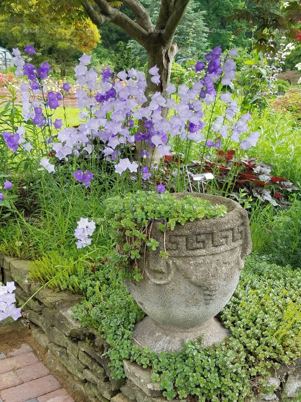 Flowers and tree landscape