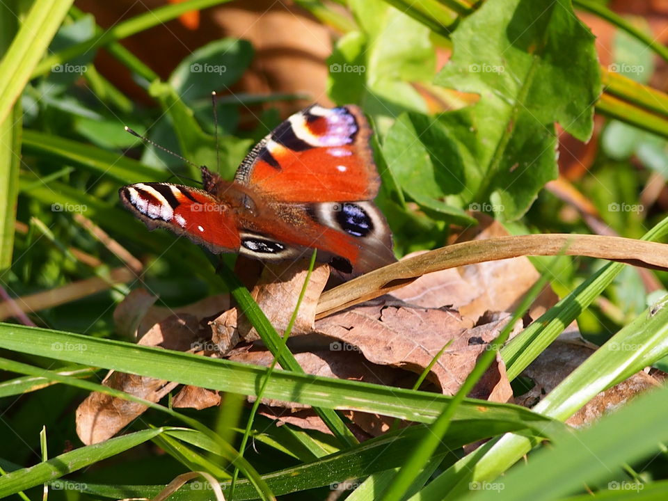 enjoying September sunlight 