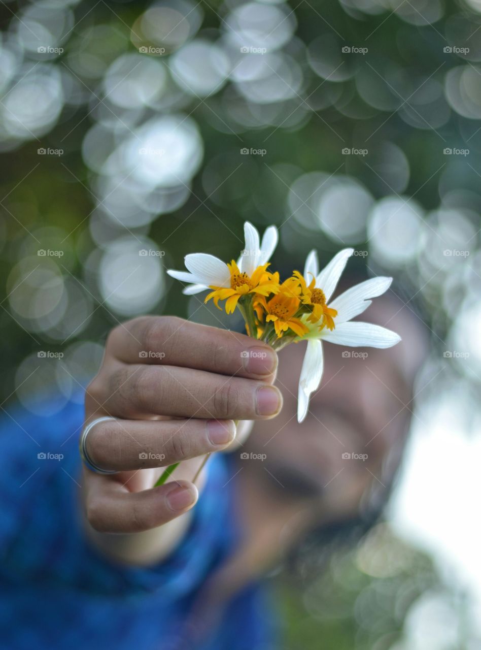 Floral Offing