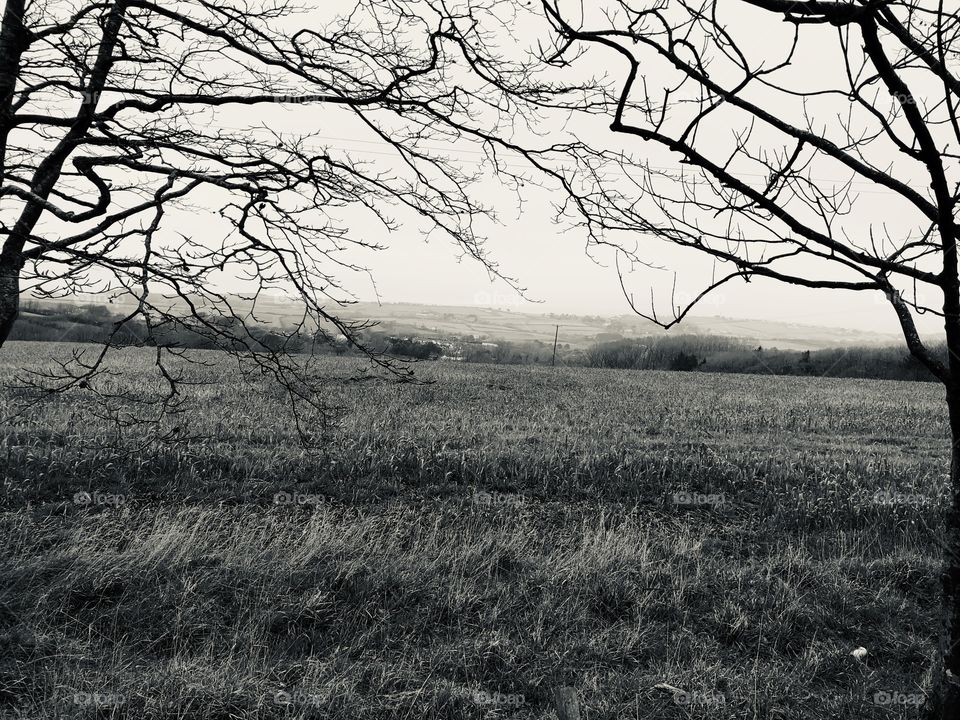 Once again the black and white version of this lovely country Devon scenery in North Devon, UK 