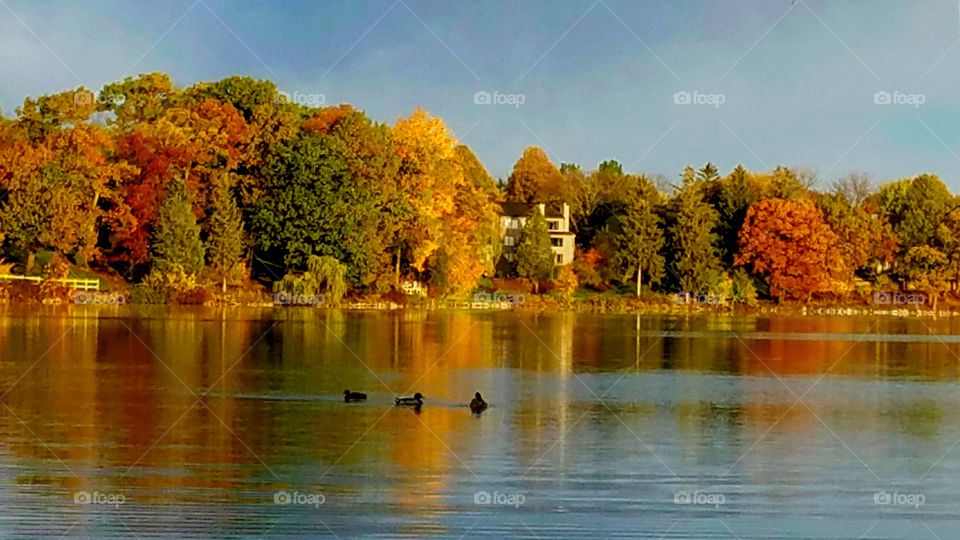 Autumn 🍁🍂🍁🍂🍁fall  color