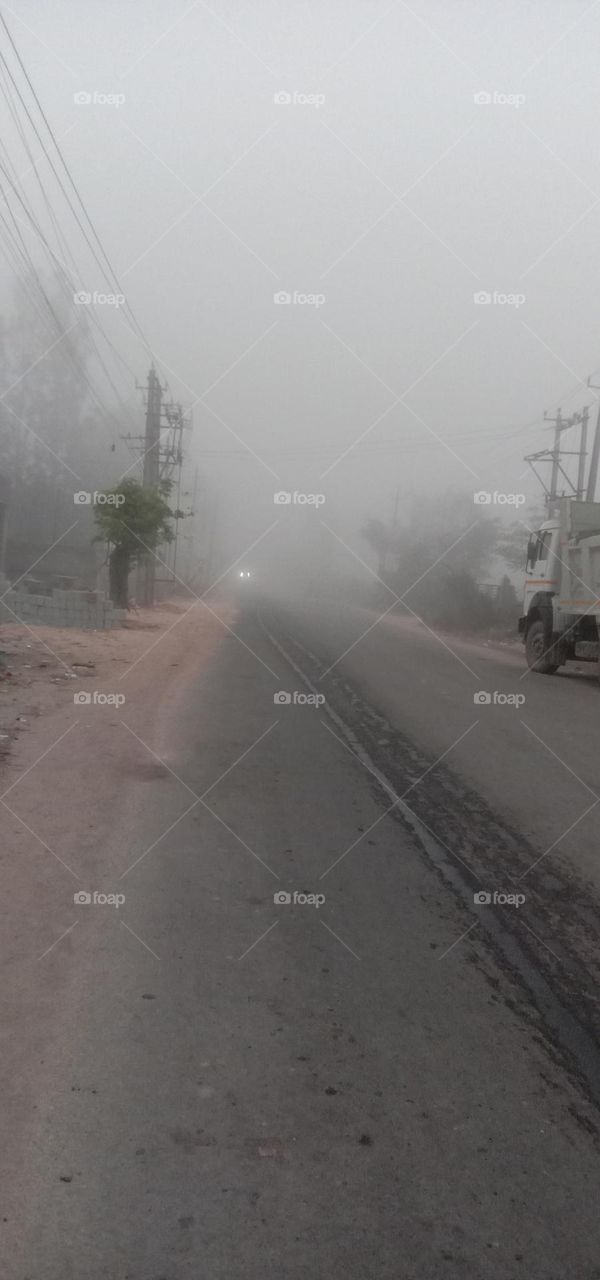 Foggy Mornings 🥶