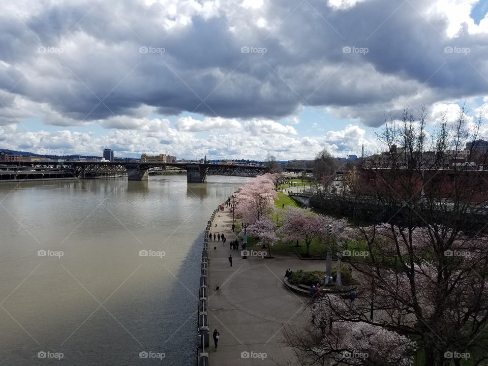 Water, River, Bridge, Travel, No Person