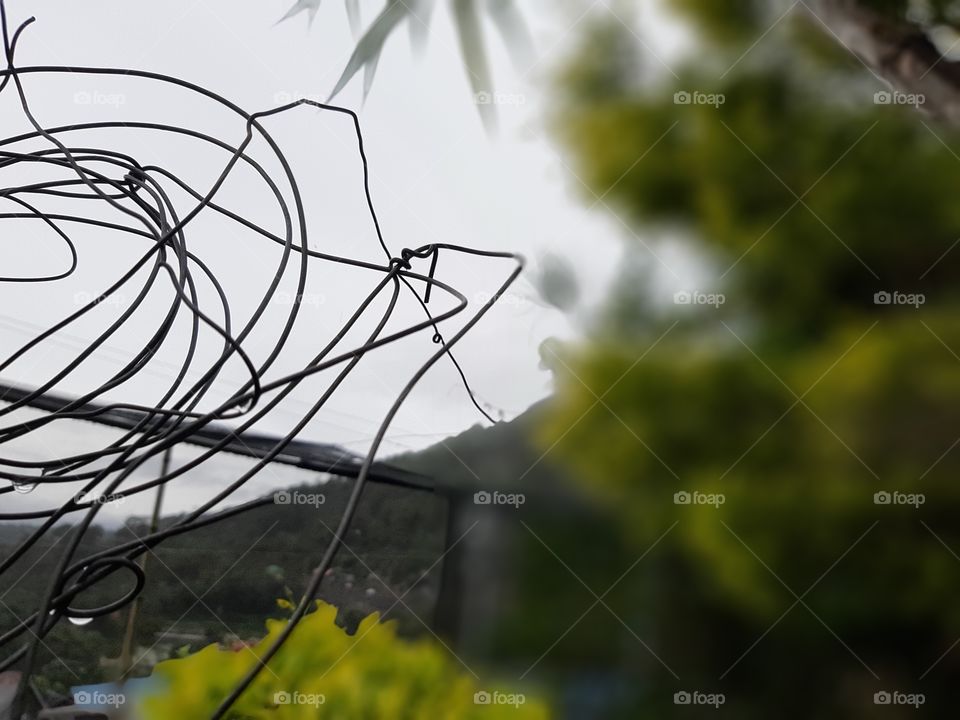 Complications in Nature