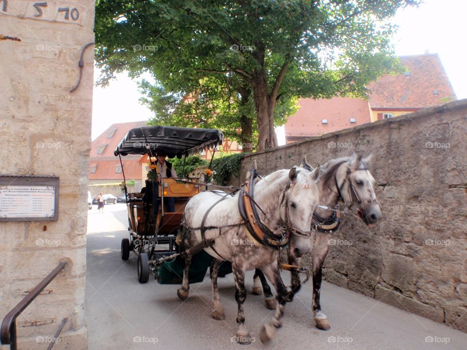 The Carriage Ride. A horse drawn carriage rolls down a wall lined road