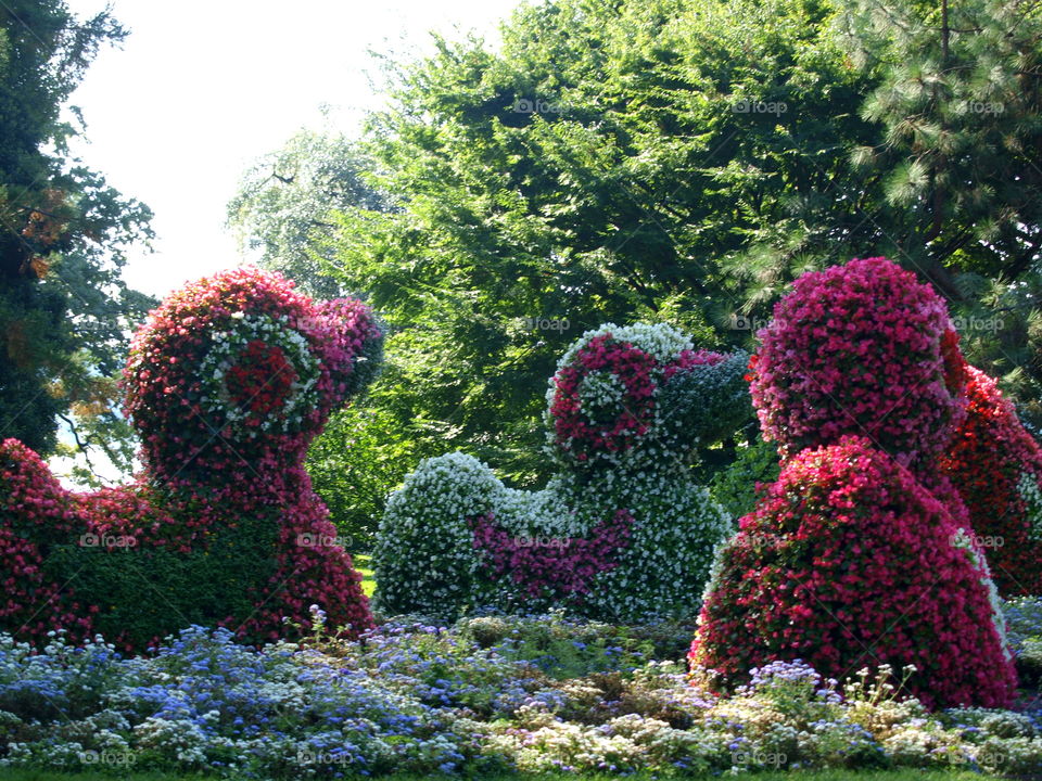 ducks made from flowers in a park