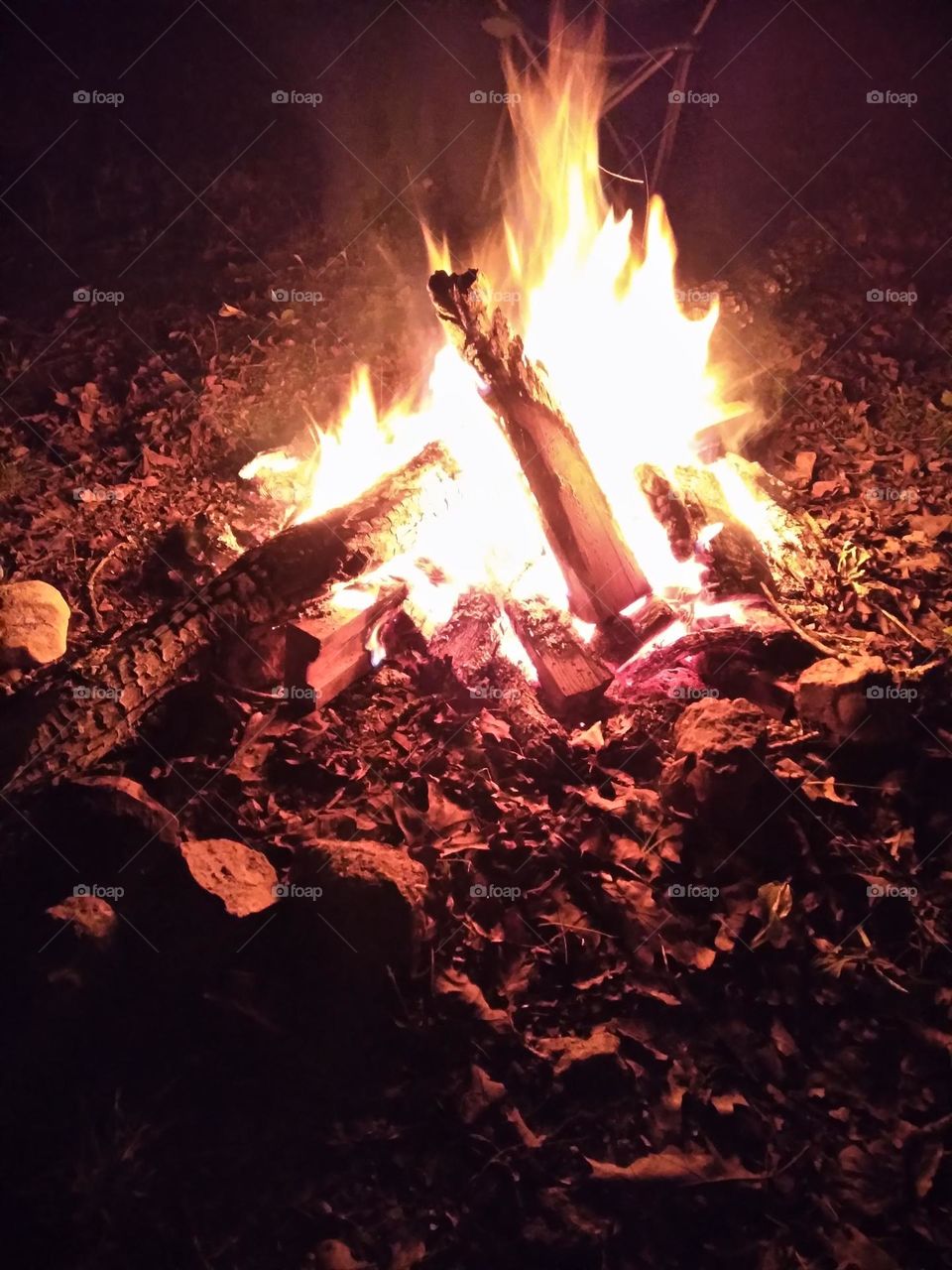 Bonfire