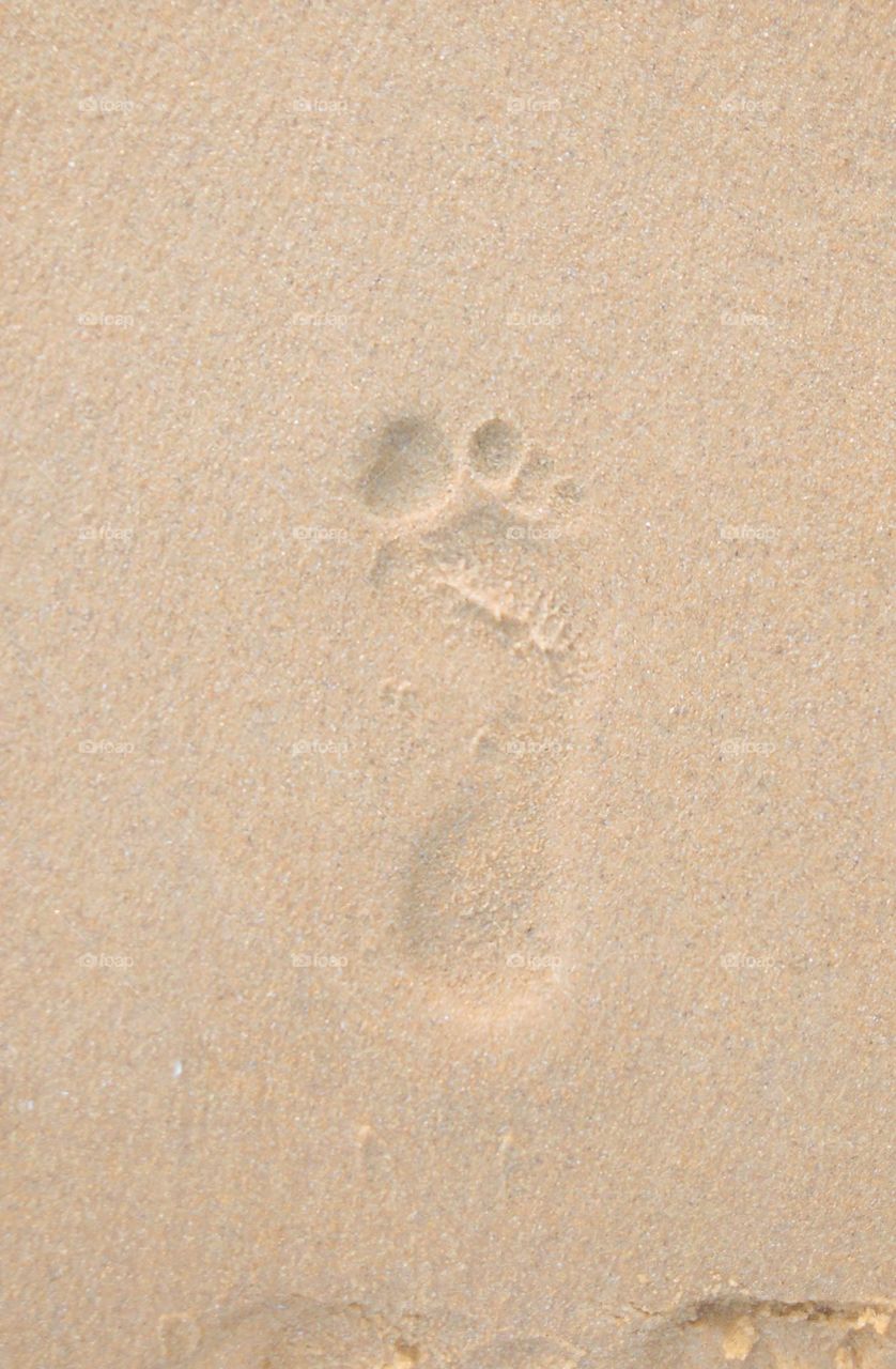 This is a capture of a footprint on the golden colour sand. the foot print is a single one and it is in the soft golden sand.