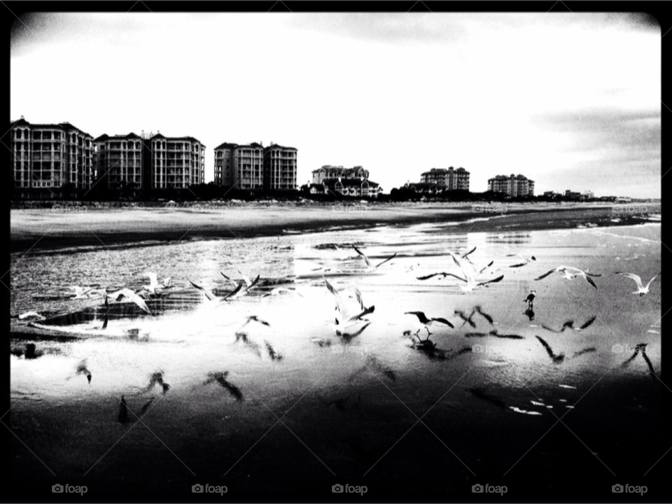 beach sky nature white by mikeymike