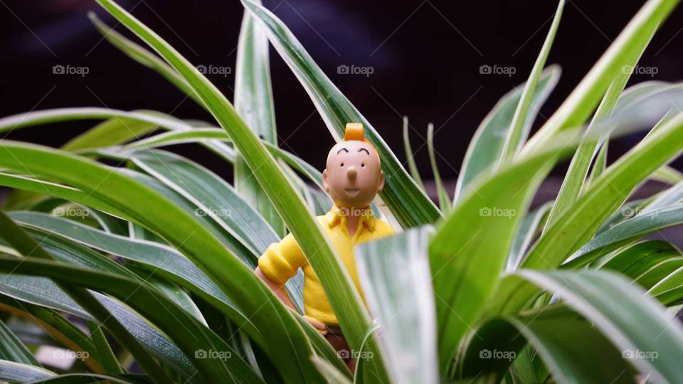 tintin in the middle of nowhere