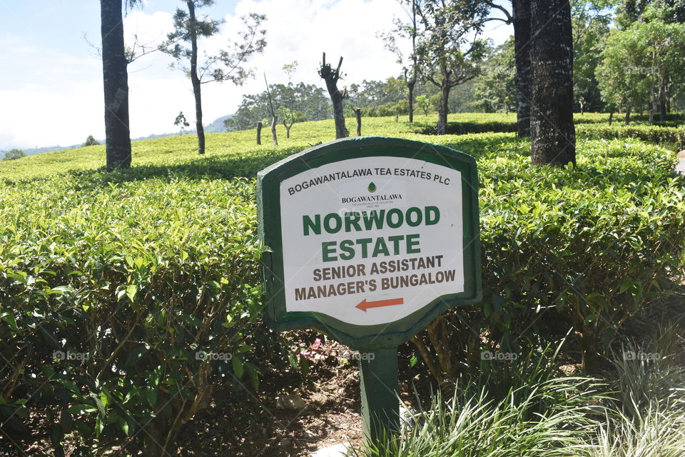 Norwood Estate