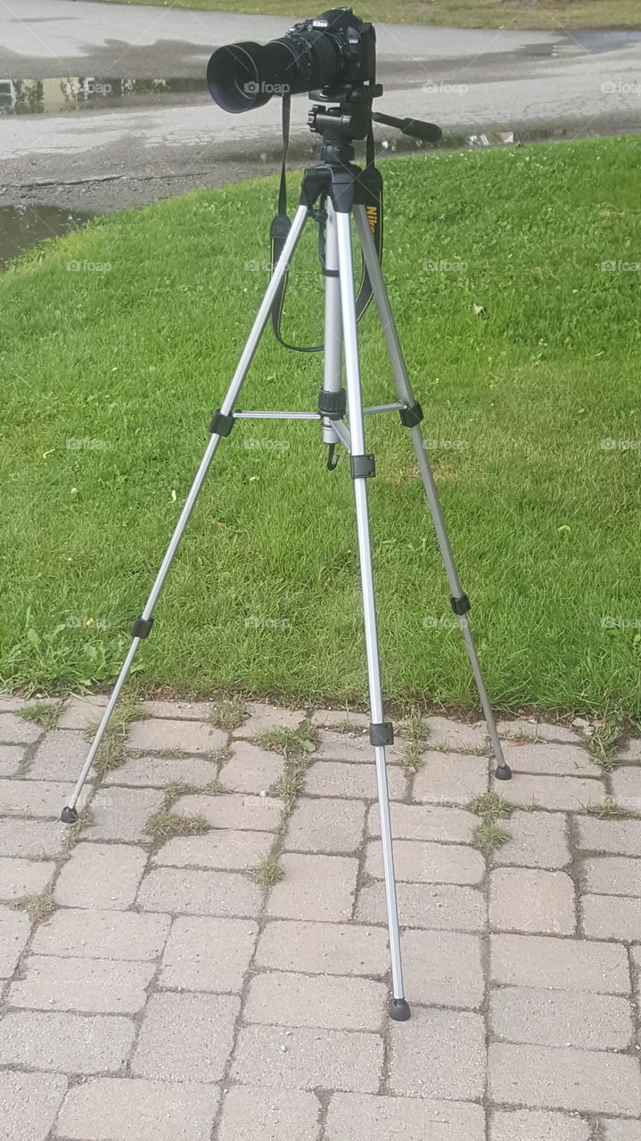 Nikon D3100 on camera tripod