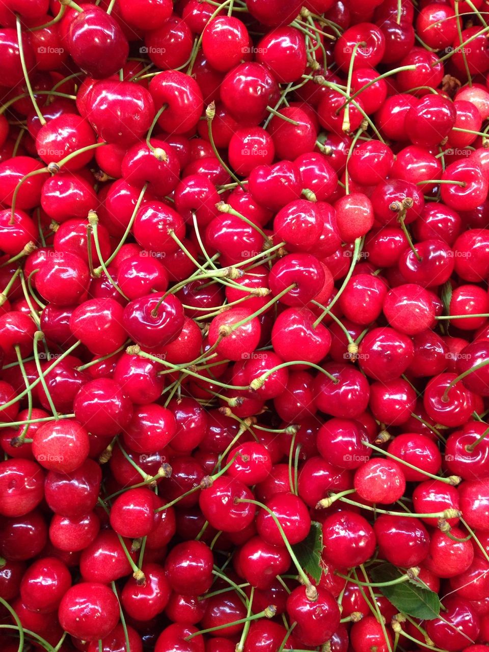 Close-up of red cherries