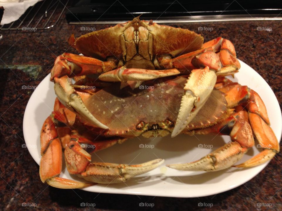 Lobster, Crustacean, Crab, Shellfish, Seafood
