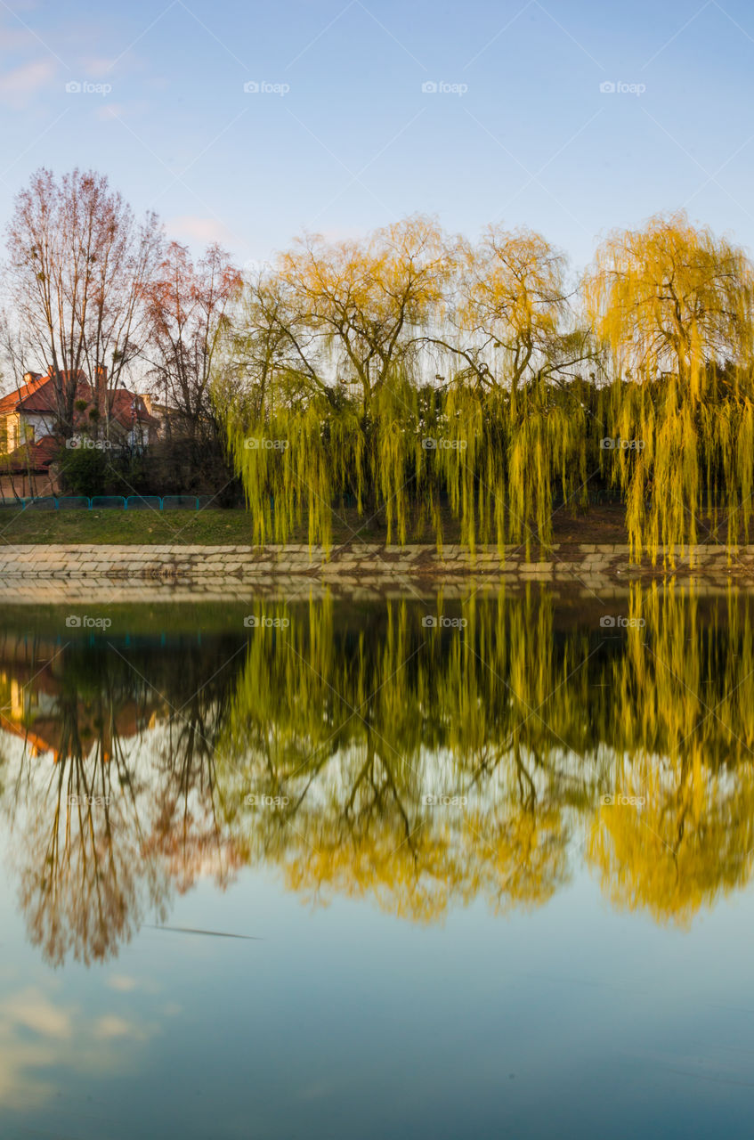 city park with lake in the spring season