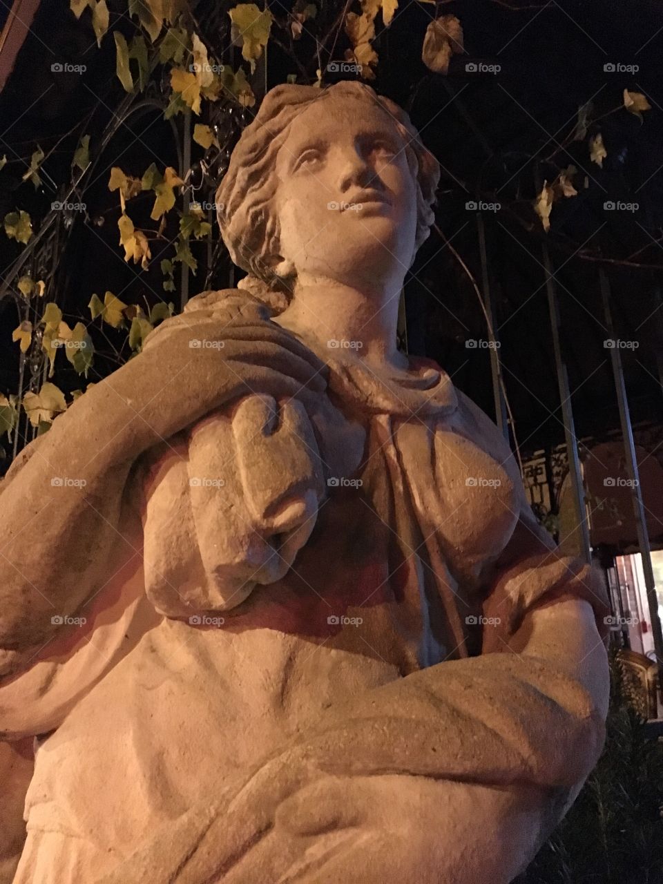 Statue at night