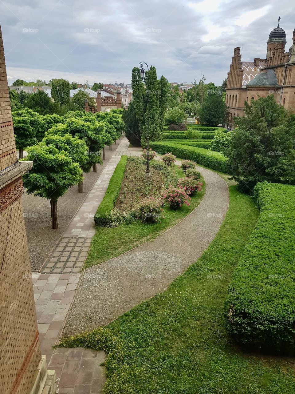 Двор университета university yard