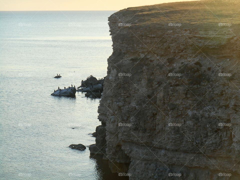 Water, Sea, No Person, Seashore, Beach