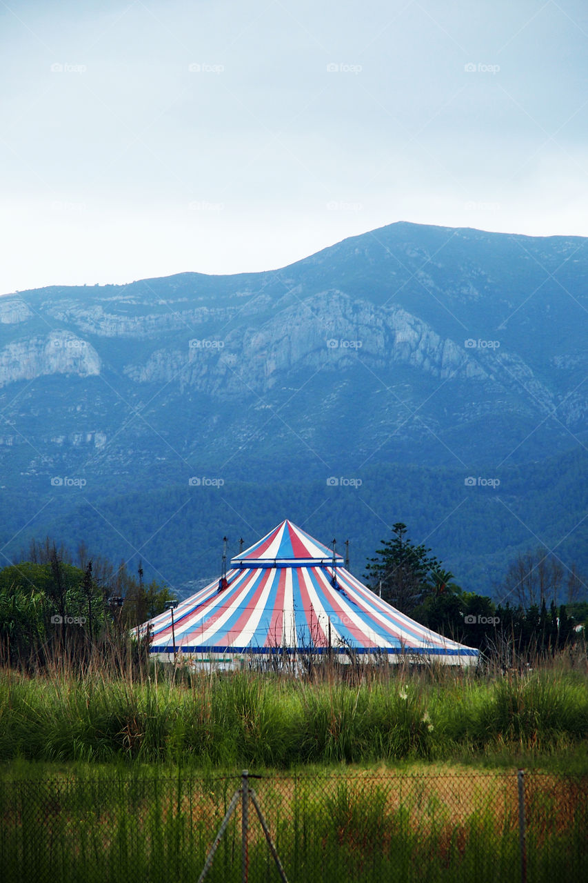 circus. circus into the woods