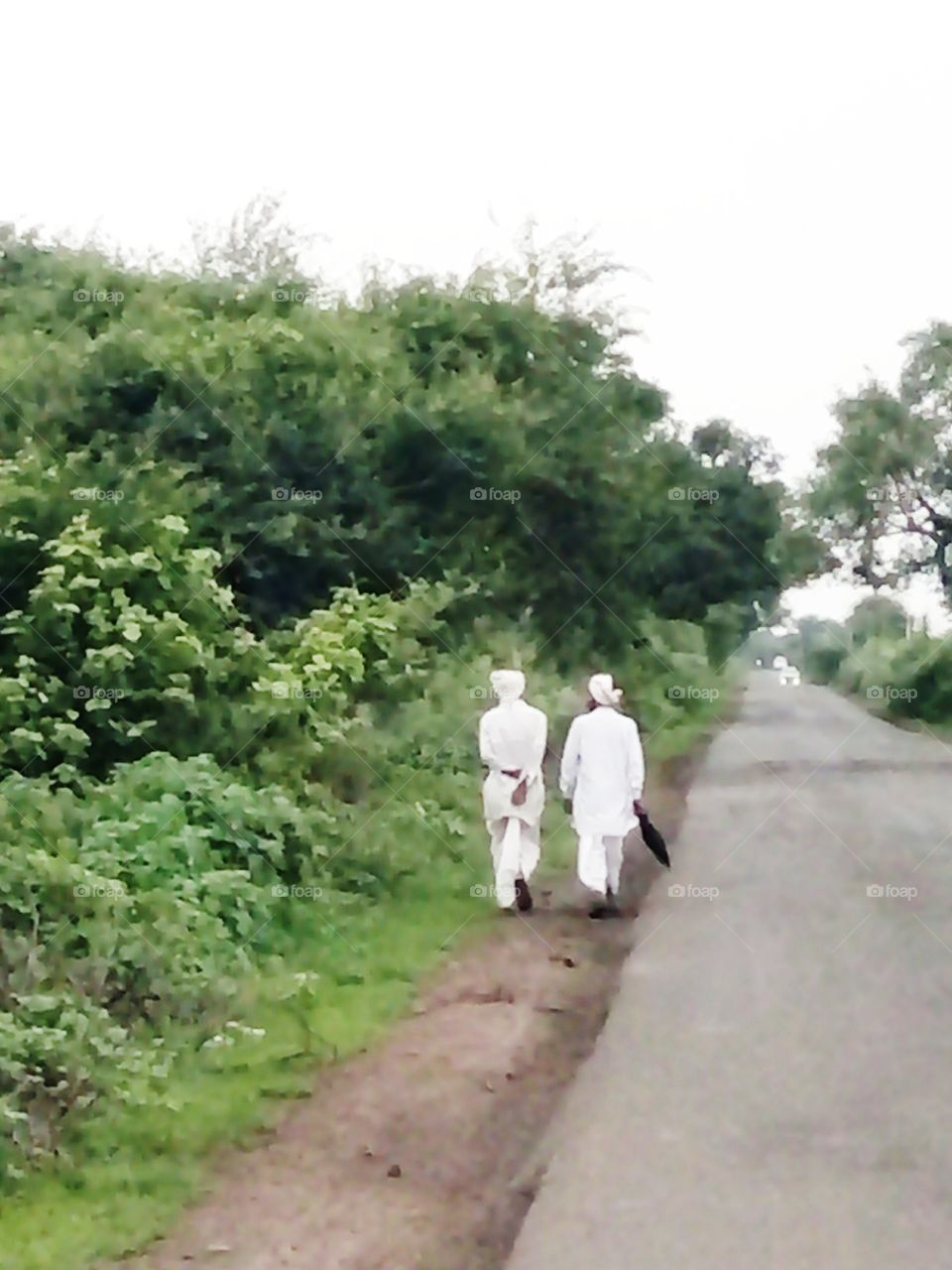 real,new picture,A great photo,a photo for everyone,a memorable photo,a no.  photo,a photo to cherish,a beautiful photo,a great photo for the best people,an evergreen photo,a photo to remember for years,the best result of great photography