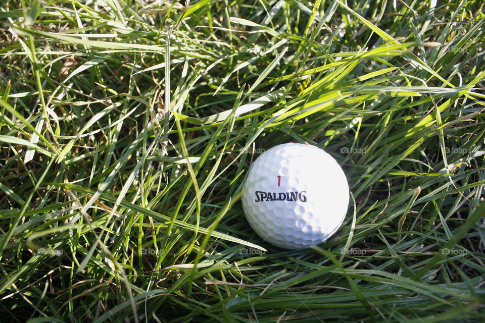 A golf ball on the grass 2