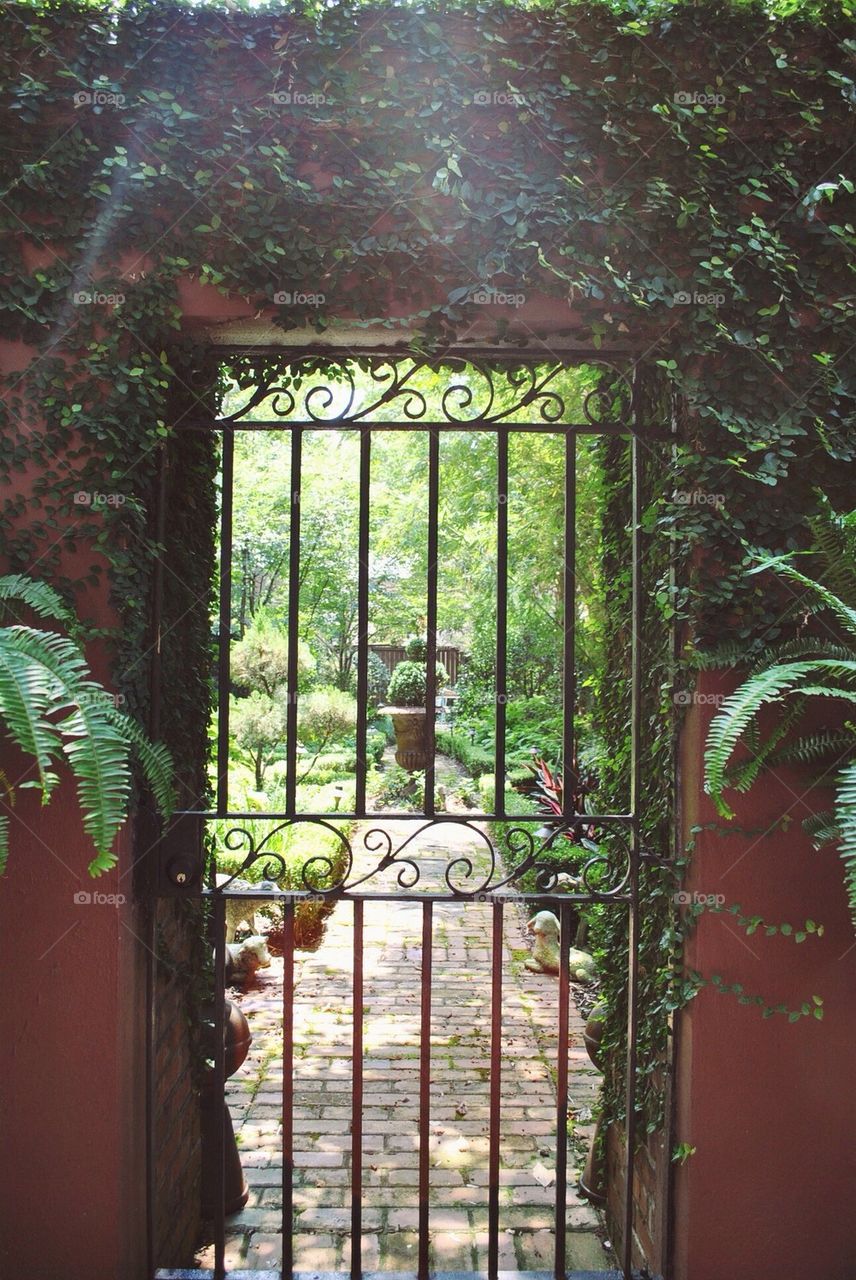 Savannah gate