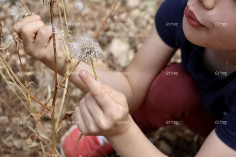 Girl blow dry dandelion seeds