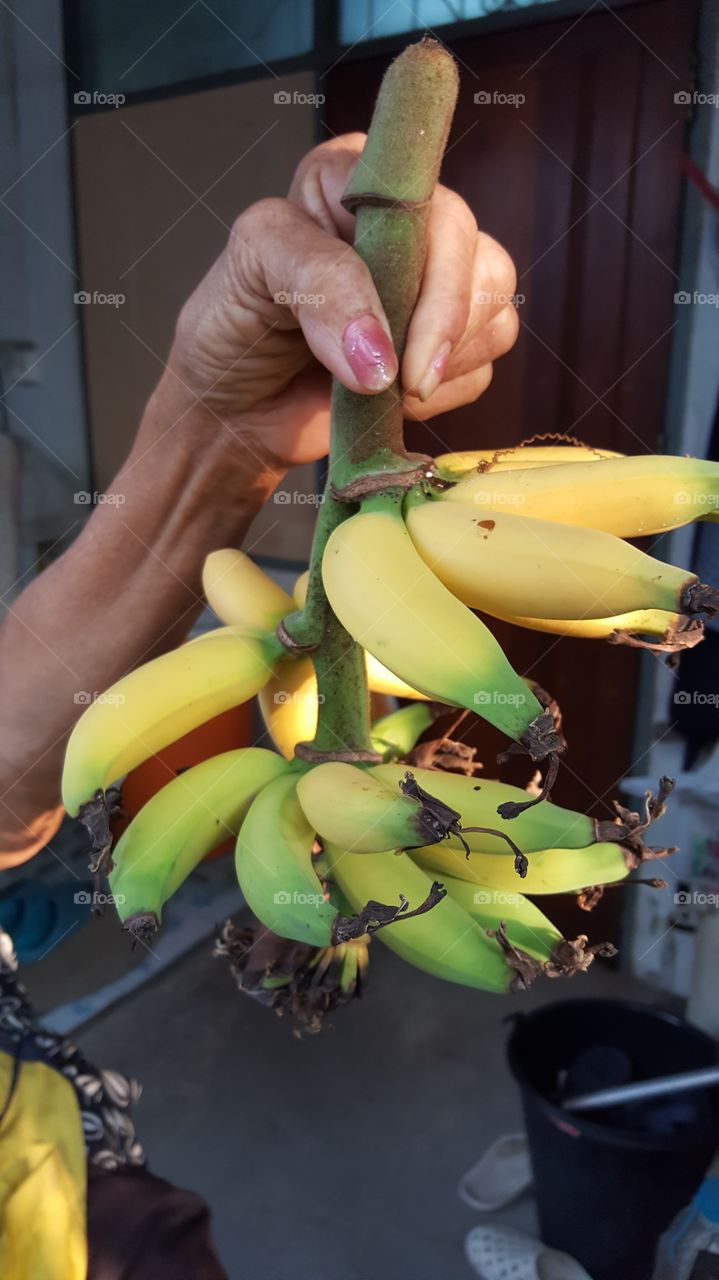 banana fruit food