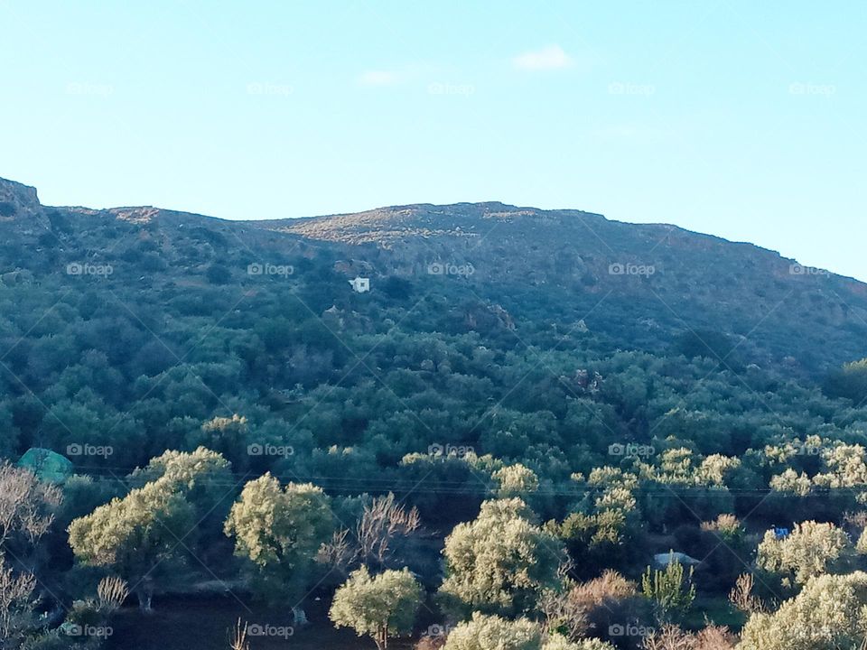 The best of nature 2021