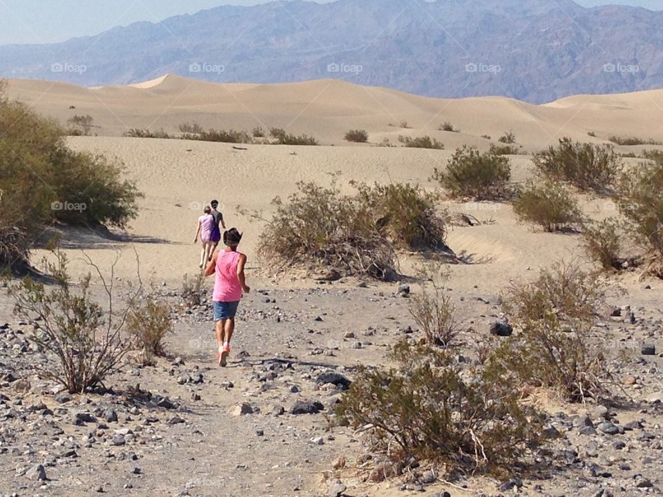 Walkers in the Desert 